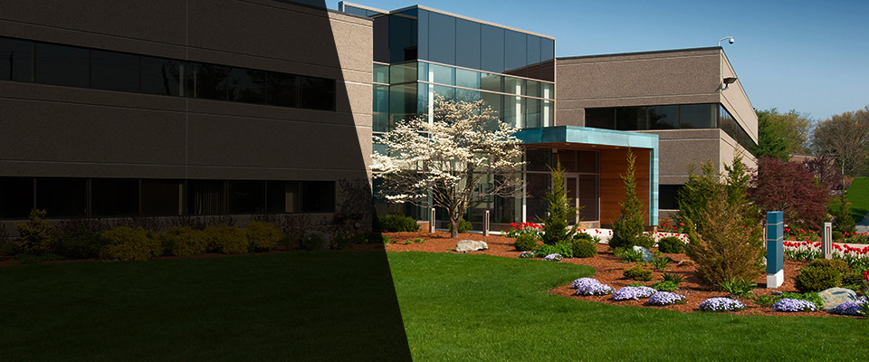 Olive Branch Landscapers