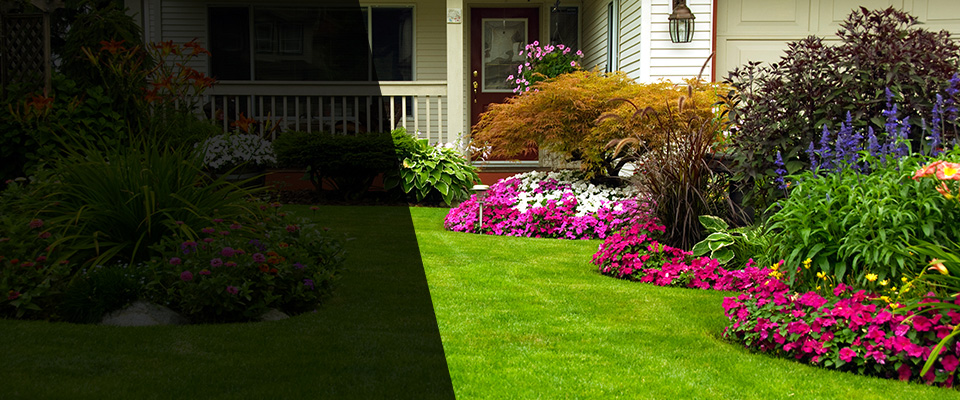 Olive Branch Landscapers