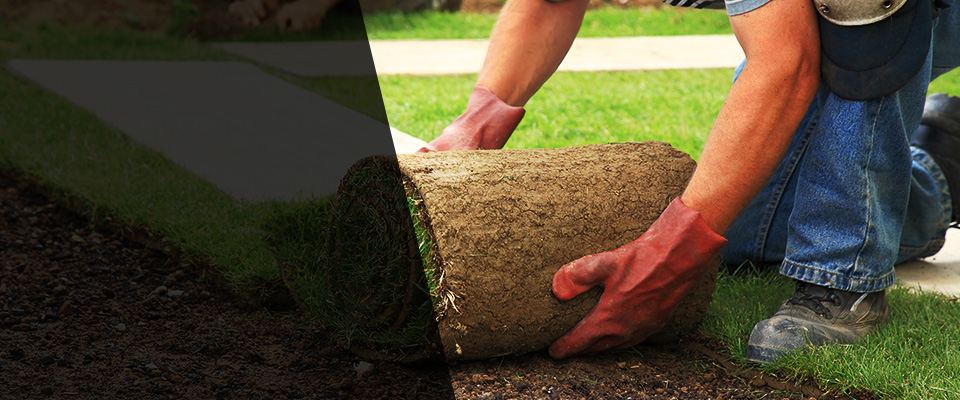 Olive Branch Landscapers